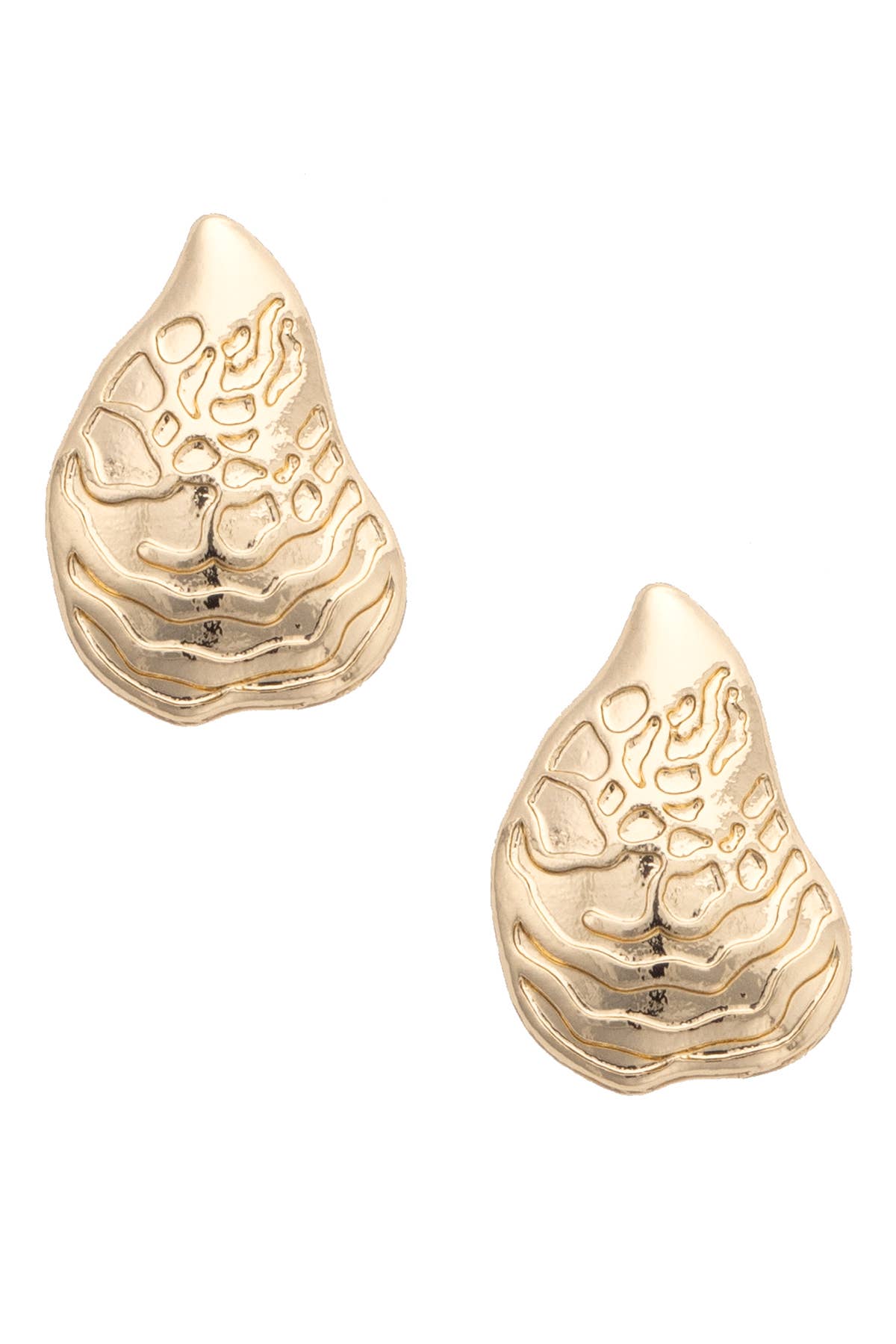 Oyster Shell Stud Earrings