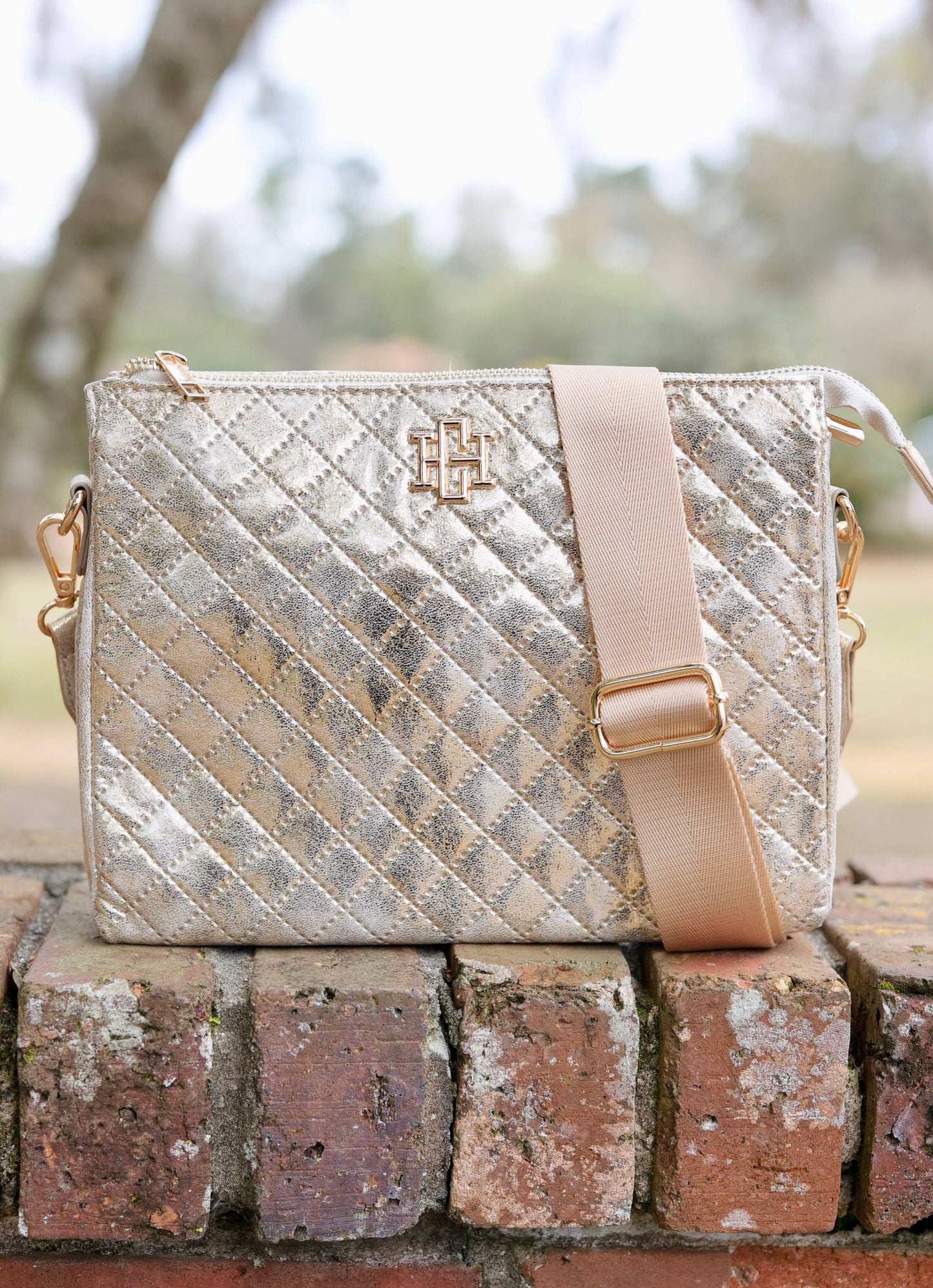 Ariana Crossbody Champagne Pop Purse
