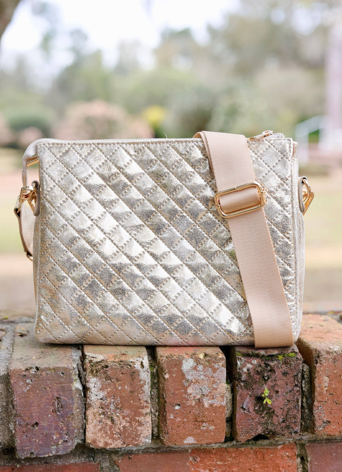 Ariana Crossbody Champagne Pop Purse